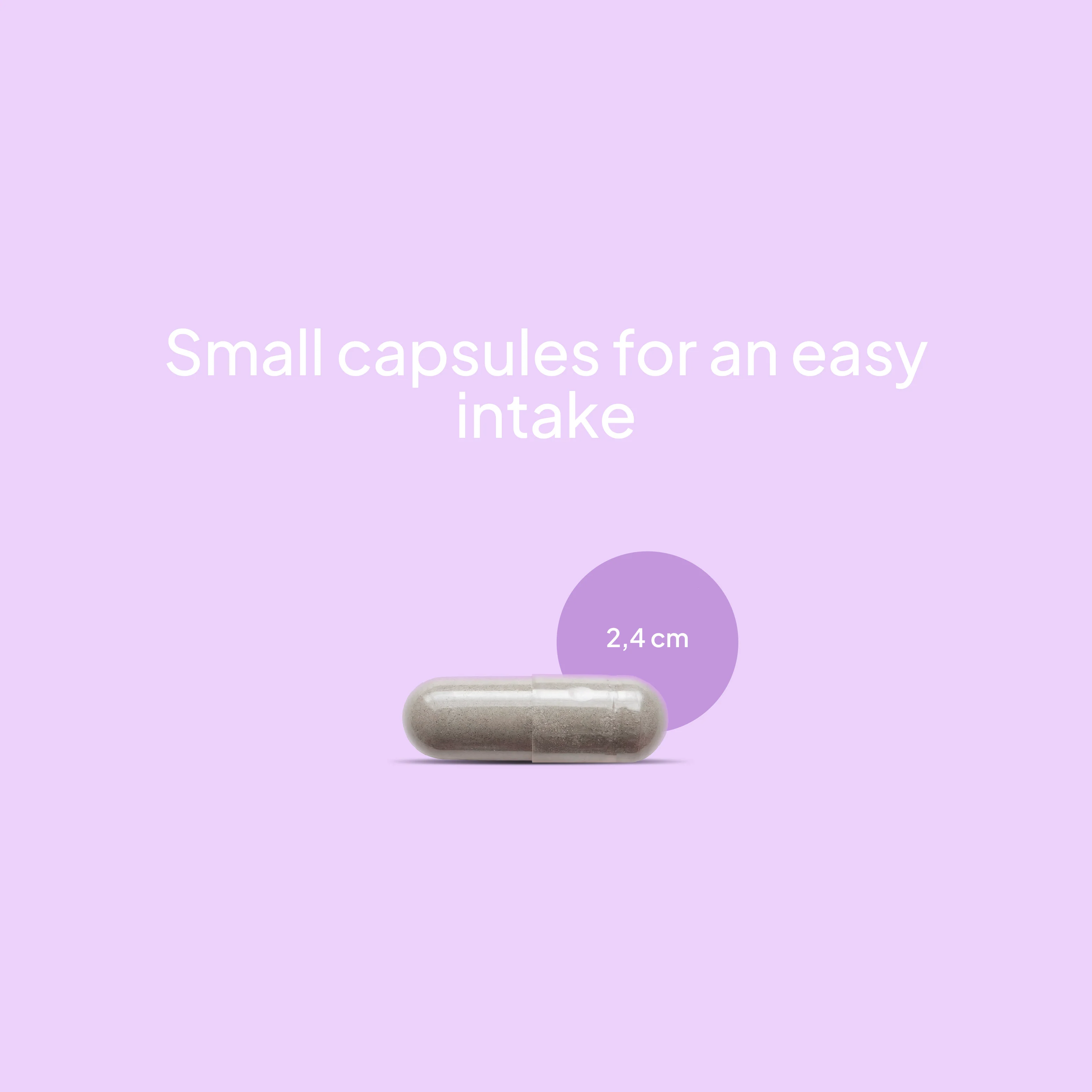 Ashwagandha KSM-66 + Magnesio, L-Teanina & Rhodiola - 60 Caps - Image 7