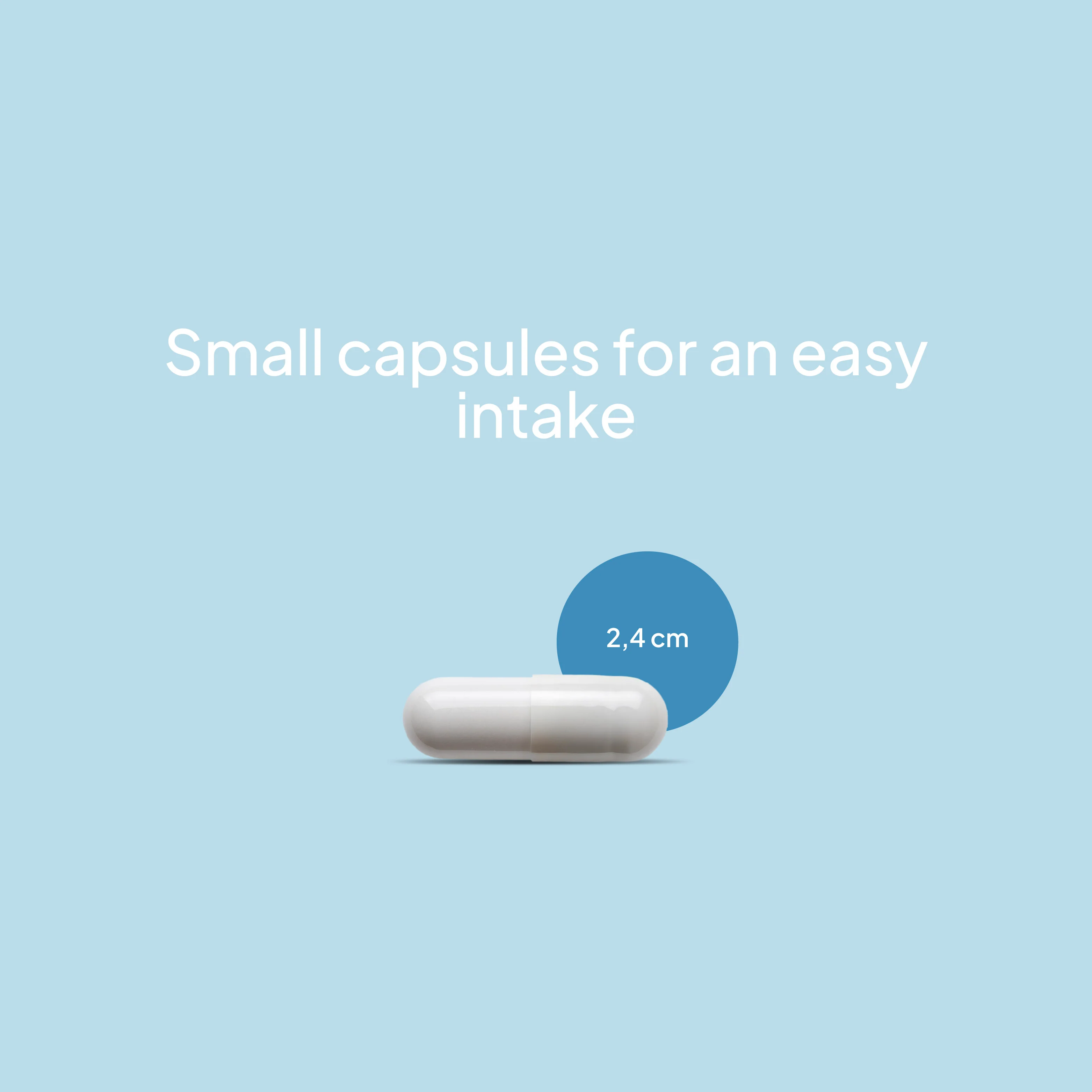 Magnesium Bisglycinate + Vitamin B6 - 90 Caps - 90 Servicios - Image 8